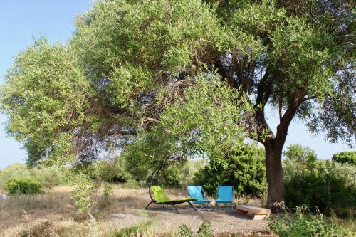 Luxury Country Villa By Sardiniagem, Walk To Beach