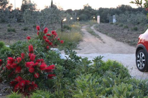 Luxury Country Villa By Sardiniagem, Walk To Beach