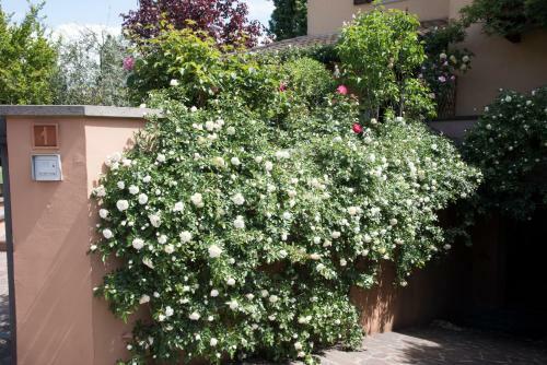 Apartamento Casa Angolo Delle Rose