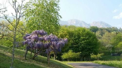 Dolomitas Home