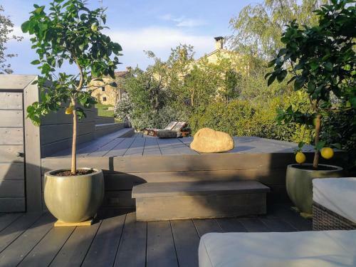 Tofanello Luxurious Holiday Homes