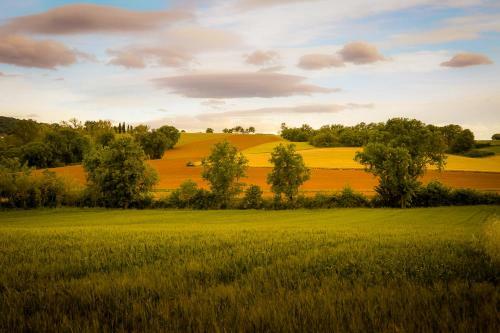 Apartamento Vacanze Sant Andrea