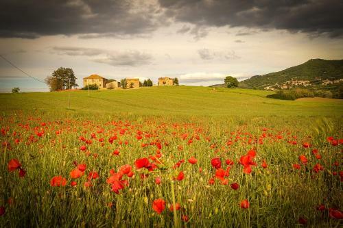 Apartamento Vacanze Sant Andrea