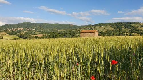 Apartamento Vacanze Sant Andrea