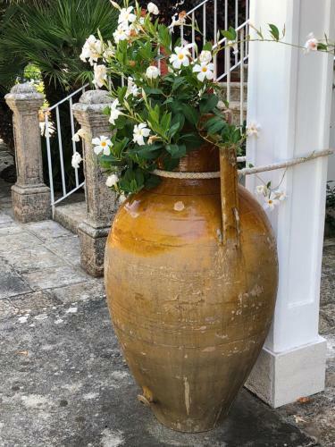 Agroturismo Antica Masseria