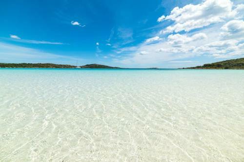 Sardinian Holiday