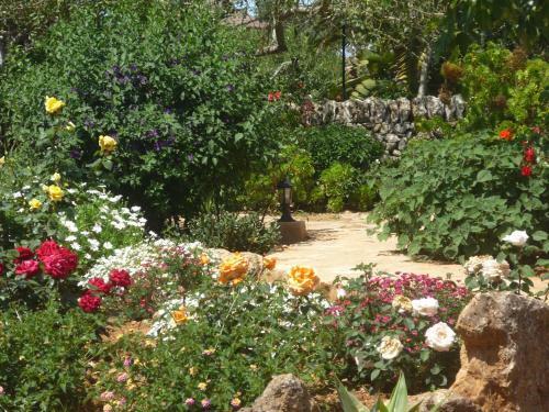 Hotel Son Marimon Adults Only