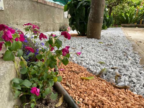 Bed & Breakfast Music House Palinuro