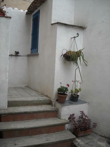 Apartamento Gigia's House
