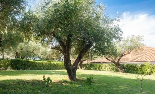 Apartamento Casa Palinuro Vacanze