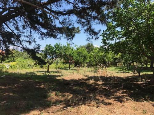 Apartamento Residenza Crivo