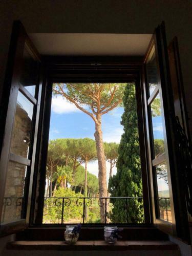 Algioja Apartment Passignano Sul Trasimeno