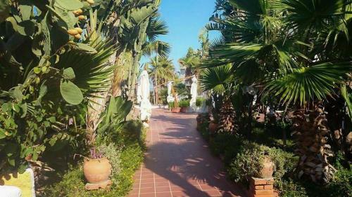 Hotel Club La Playa