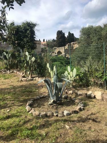 Apartamento L'ulivo In Villa Greco