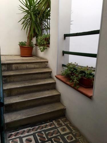 Apartamento Rubra 4rent