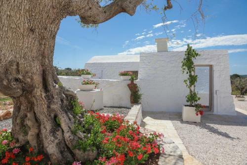 Bed & Breakfast Petranima Wellness In Trulli