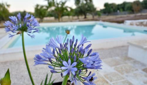 Villa L�m�a Donnagnora