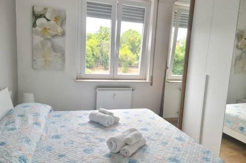 Apartamento Flarer Appartamenti - Vicino Ospedale