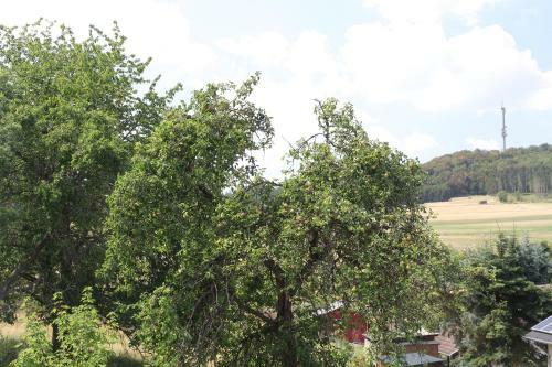Bike And Hike Ferienhaus Kolverath