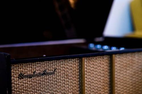 Luxe Mid-century Styled Historic Townhouse #2