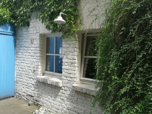 Apartamentos May-apartment K�ln Zentrale Ferienwohnung