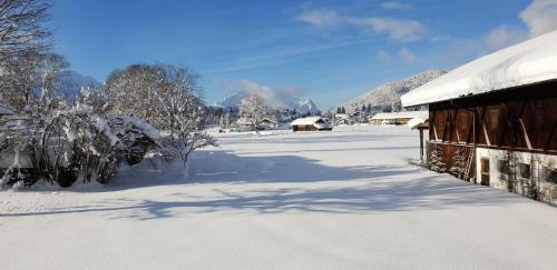 Apartamento Ferienwohnungen Hanslbauer