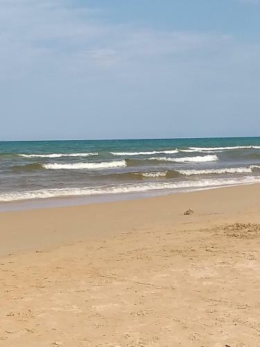 Apartamento Oliva Nova Beach And Met