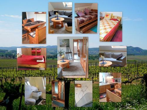 Apartamento Ferienwohnung/monteurwohnung Meiser