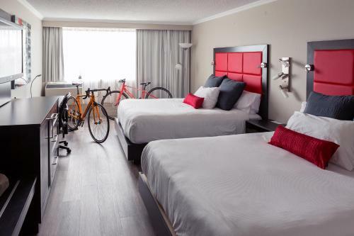 Hotel Universel Alma - Standard