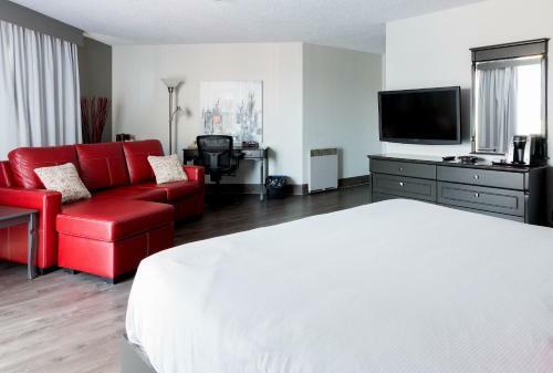 Hotel Universel Alma - Standard