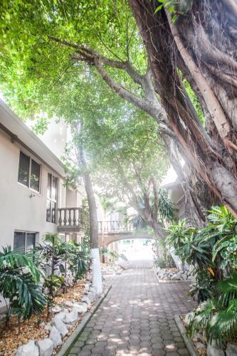 Hotel Suites La Fragua