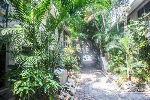 Hotel Suites La Fragua