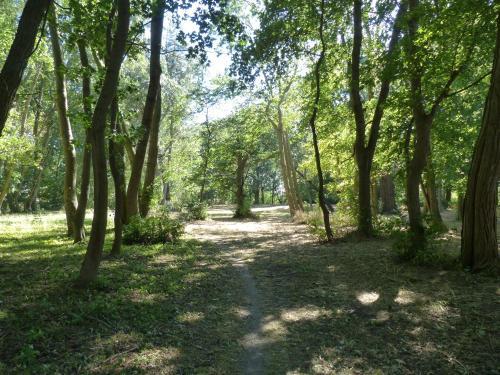 Apartamento Ferienwohnung Mit Brockenblick