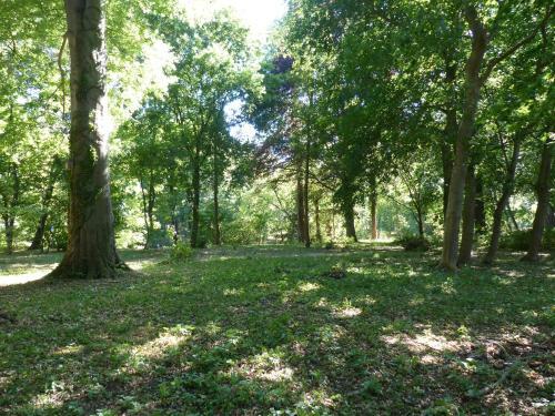 Apartamento Ferienwohnung Mit Brockenblick