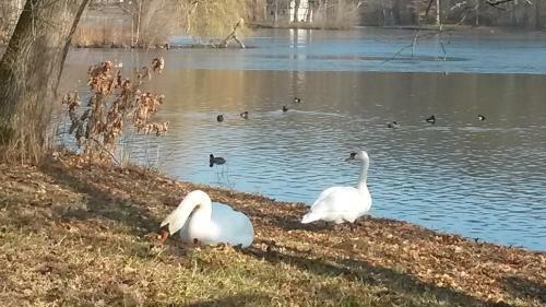Apartamentos Ferienwohnung Familie Ernst
