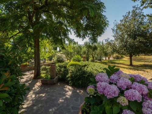 Apartamento Locazione Turistica Mimosa