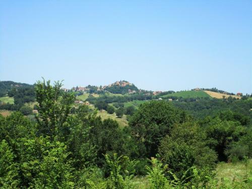 B&B Carboni