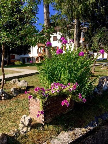Apartamento Chalet Dell'orso