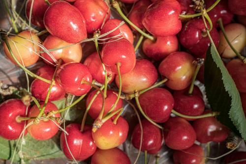 Granducato Di Monteballante