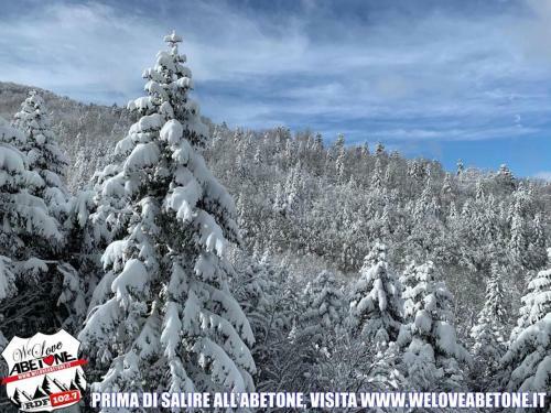 Apartamento Appartamento La Volpe