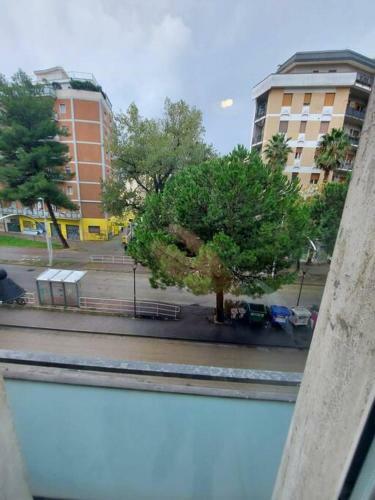 Lovely And Spacious Apartment In The City Centre