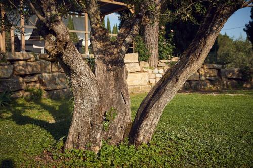 Apartamento Le Balze Appartamenti