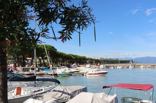 Apartamento Appartamento Rosy
