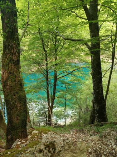 Apartamento Lo Chalet Biancaneve