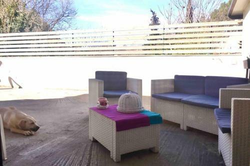 Apartamento Roxy House Relax E Natura