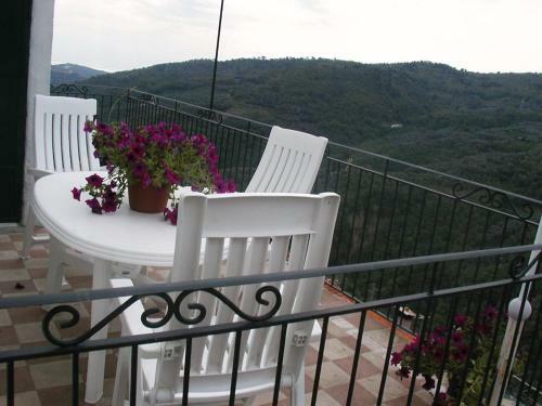 Agriturismo Casa Santina