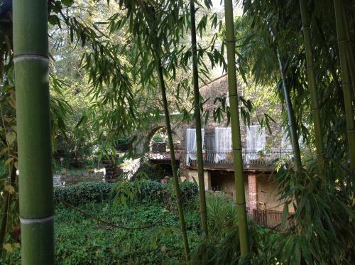 B&B Antico Frantoio Pietrasanta