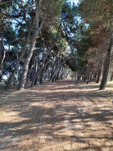 Apartamento Bouganville Casa Vacanza