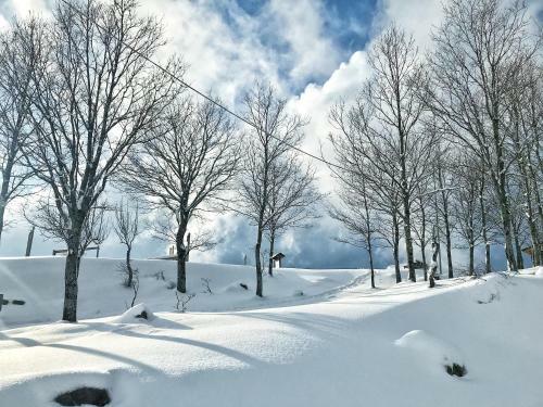 Bed & Breakfast Rifugio Radura Del Grano