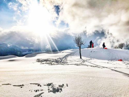Bed & Breakfast Rifugio Radura Del Grano